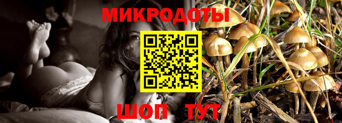 Псилоцибиновые грибы GOLDEN TEACHER Чебаркуль