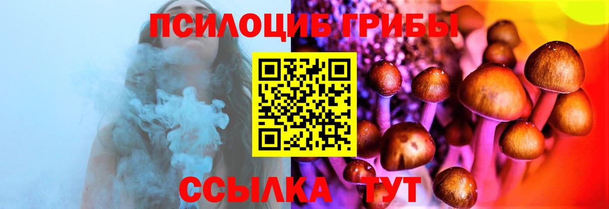 Чебаркуль  Псилоцибиновые грибы MAGIC MUSHROOMS  Вход с VPN 